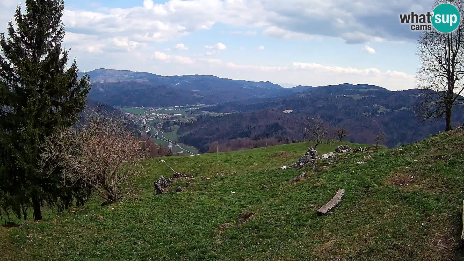 Slajka livecam | Gorenja Vas | Slovénie