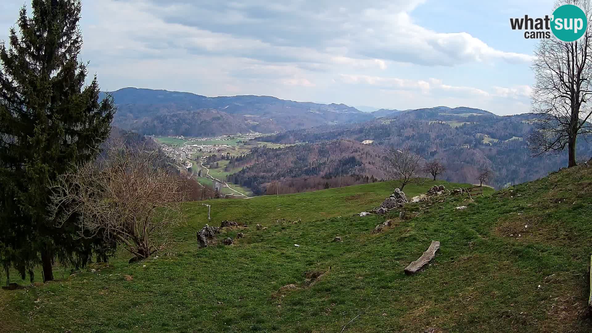 Slajka camera en vivo | Gorenja Vas | Eslovenia