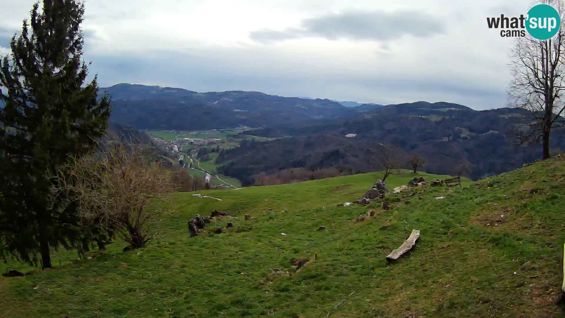 Slajka camera en vivo | Gorenja Vas | Eslovenia