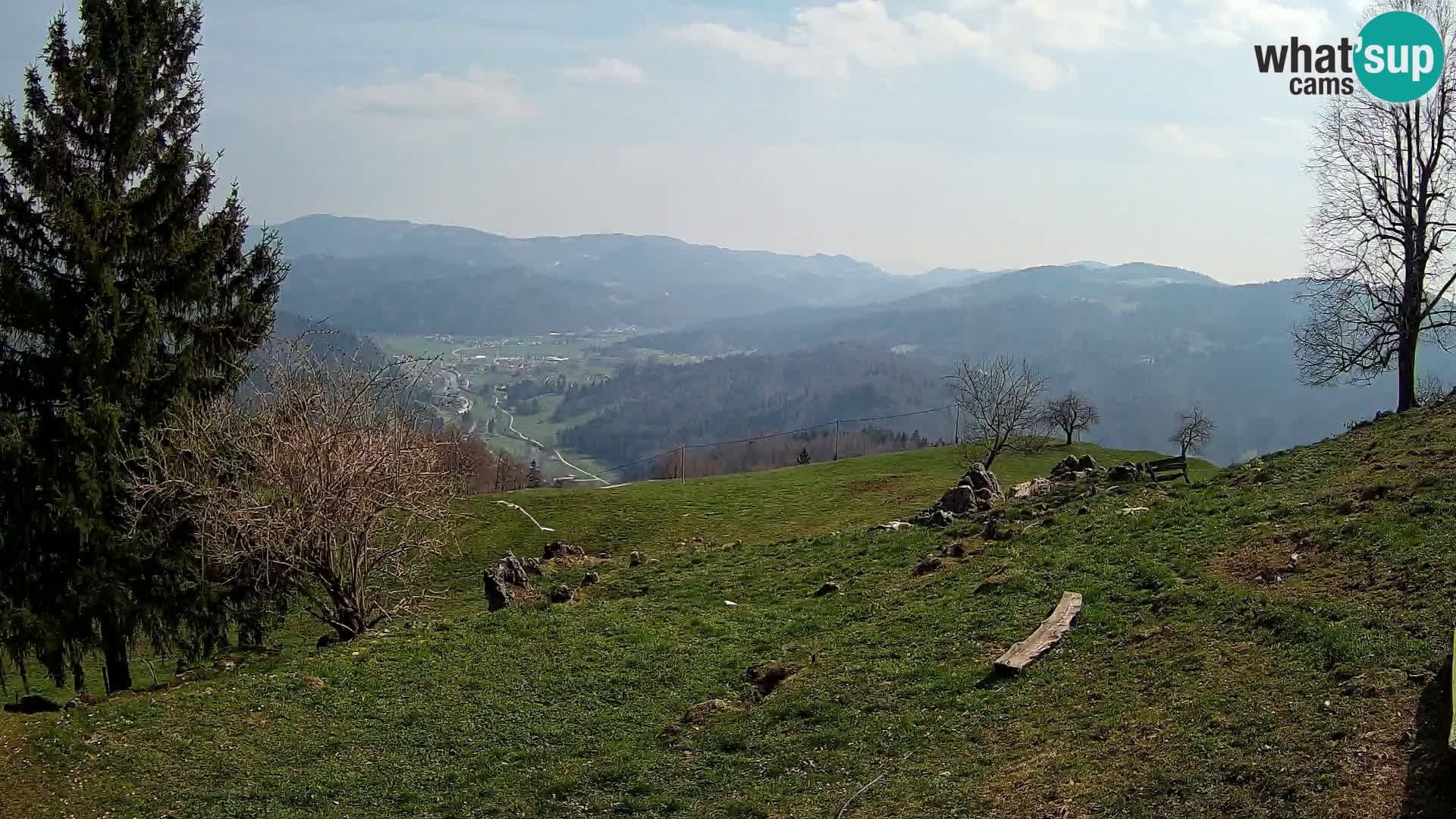 Slajka camera en vivo | Gorenja Vas | Eslovenia