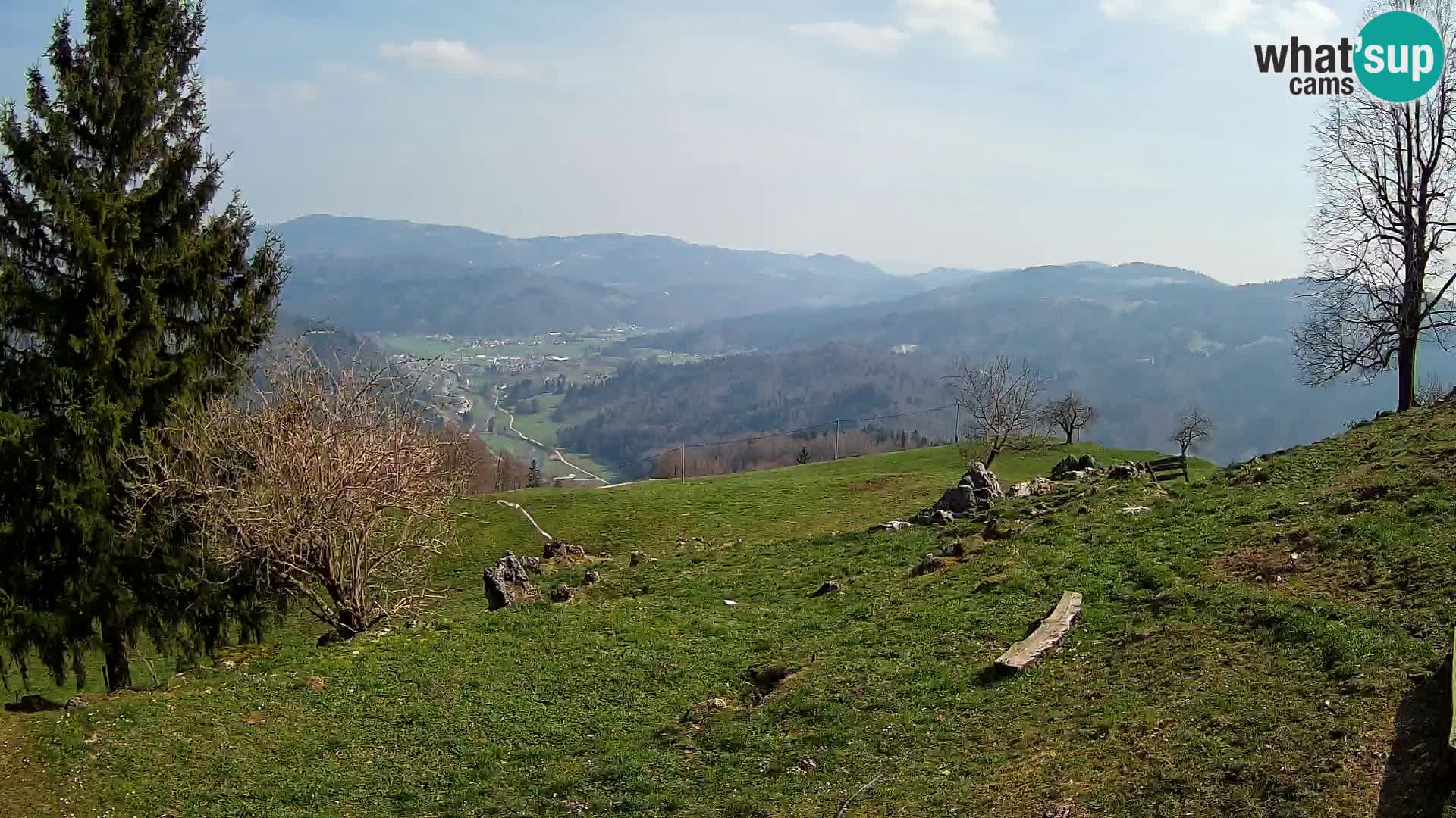 Slajka camera en vivo | Gorenja Vas | Eslovenia