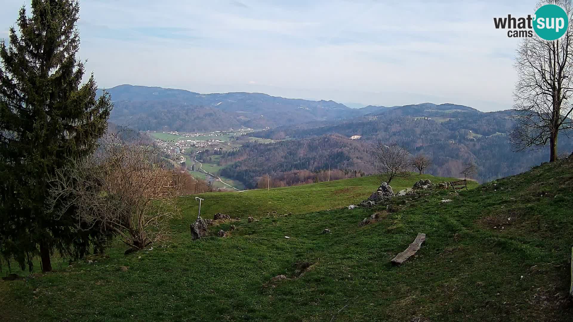 Slajka camera en vivo | Gorenja Vas | Eslovenia