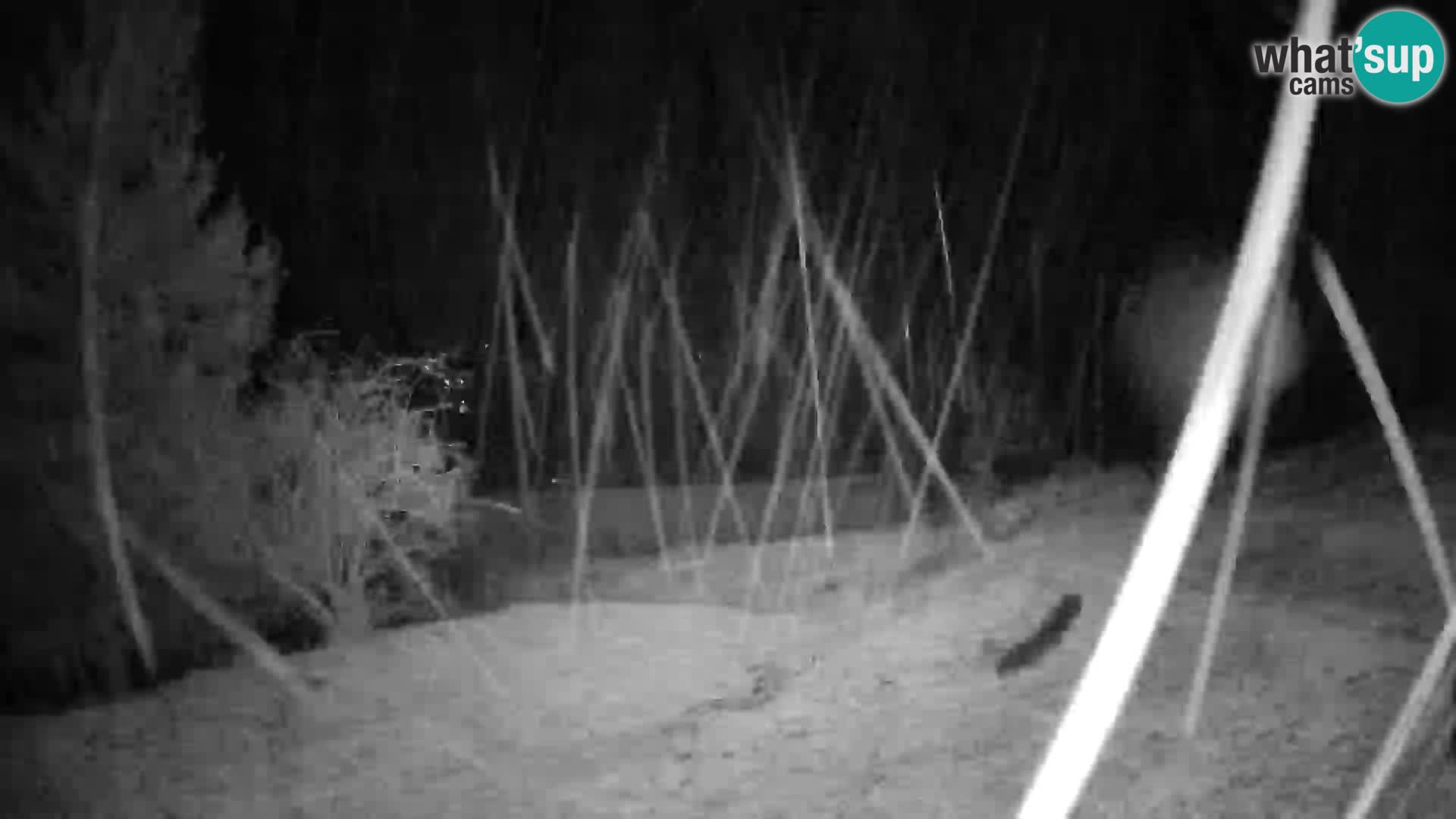 Slajka webcam | Gorenja Vas | Slowenien