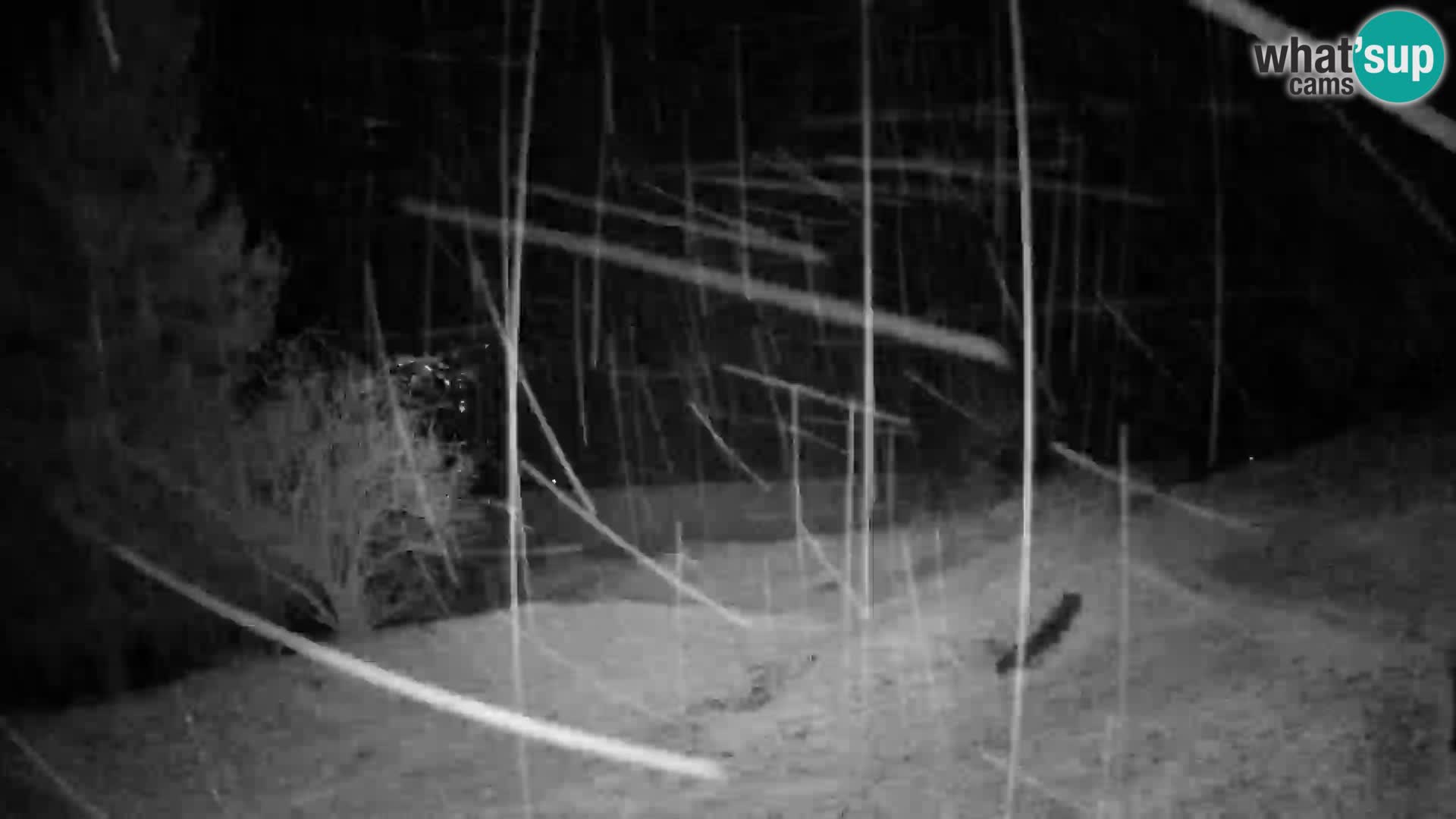 Slajka webcam | Gorenja Vas | Slowenien