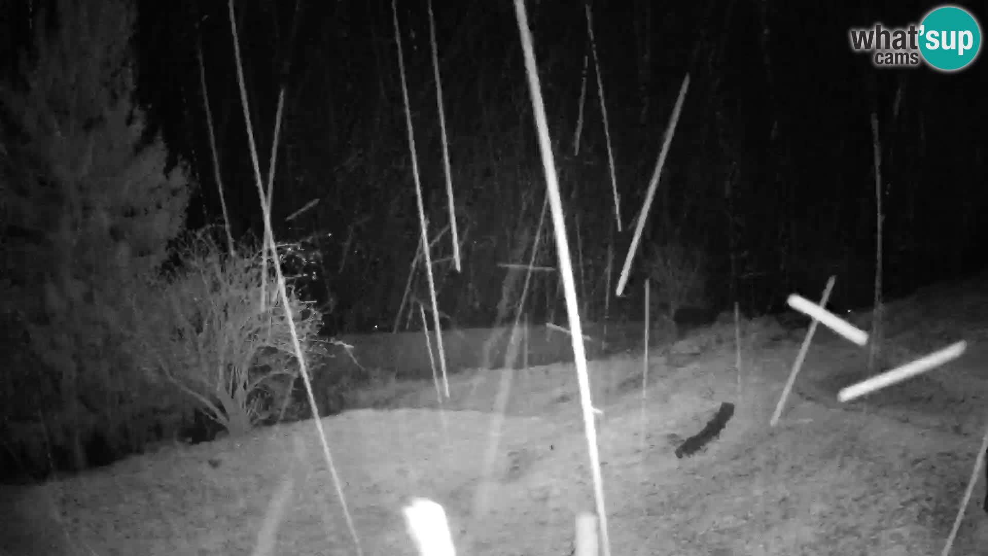 Webcam Slajka | Gorenja vas | Slovenia