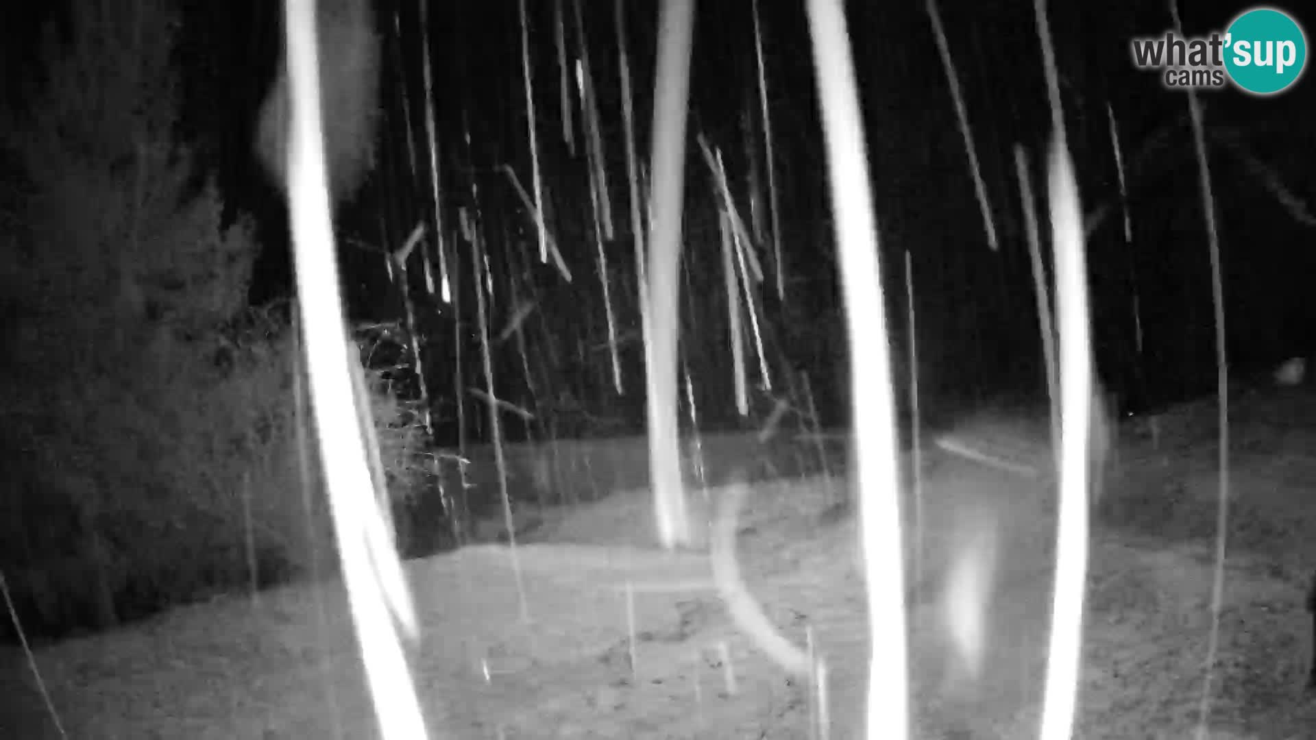 Slajka camera en vivo | Gorenja Vas | Eslovenia