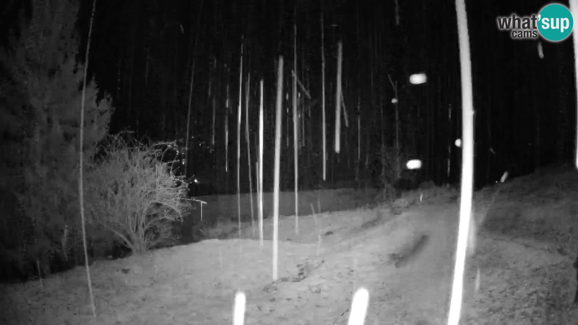 Spletna kamera Slajka | Gorenja vas