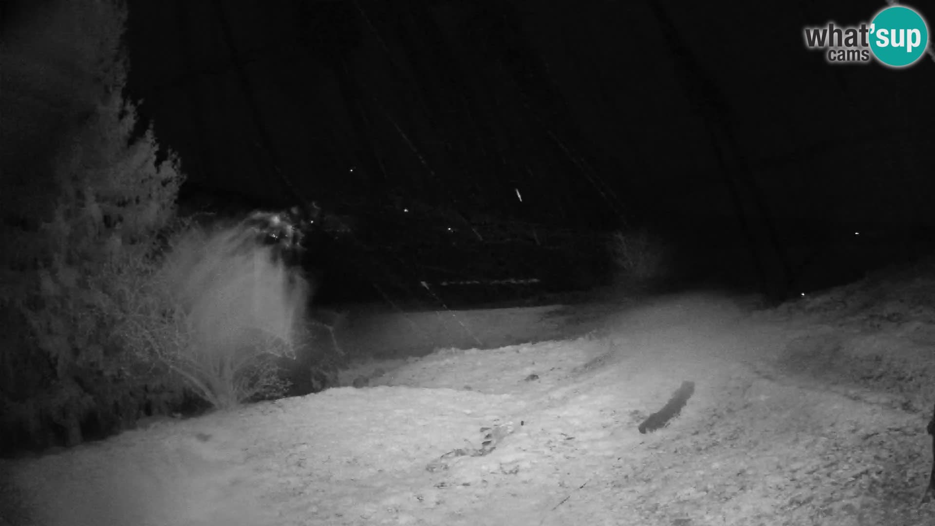 Slajka camera en vivo | Gorenja Vas | Eslovenia