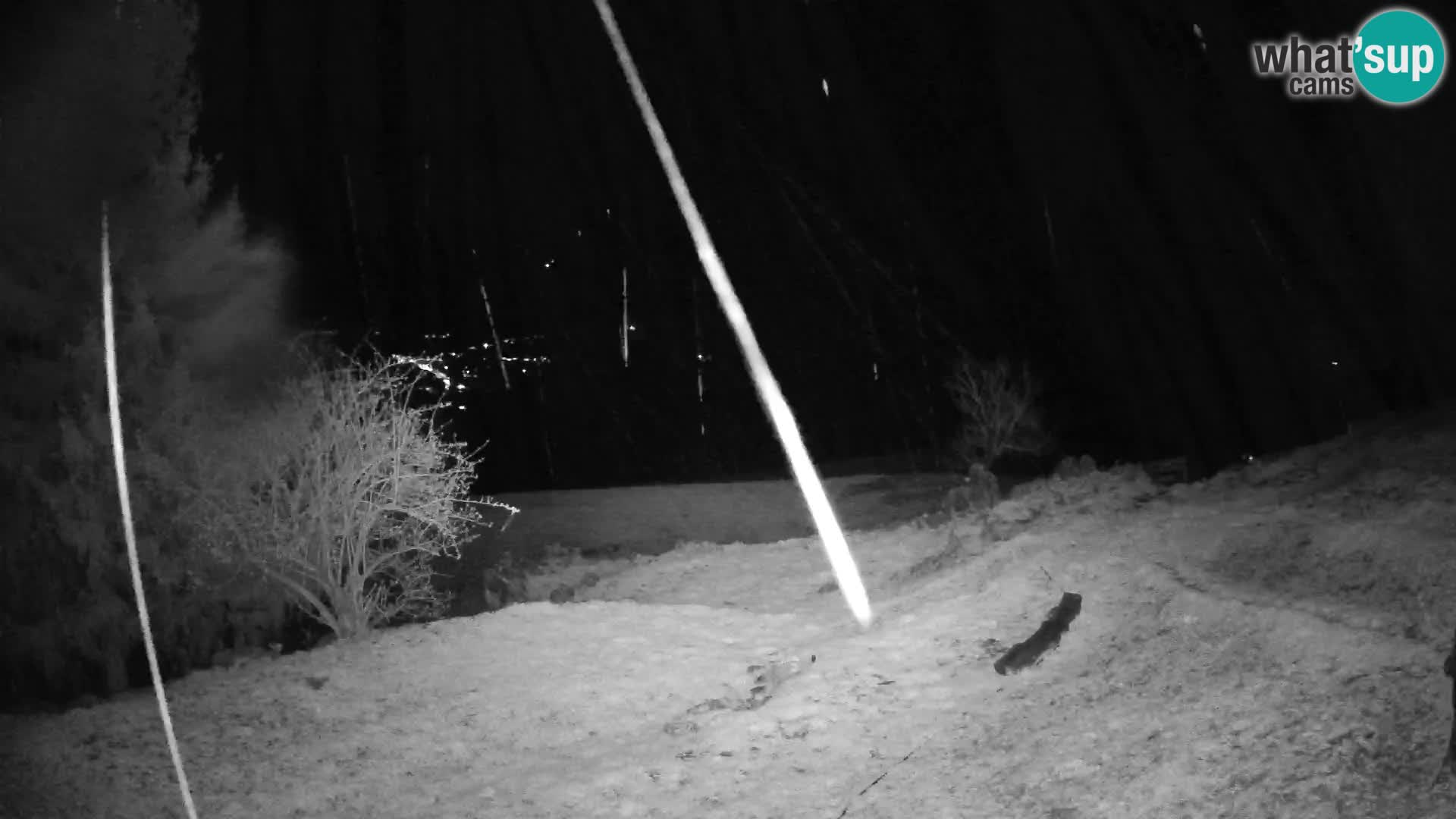 Spletna kamera Slajka | Gorenja vas