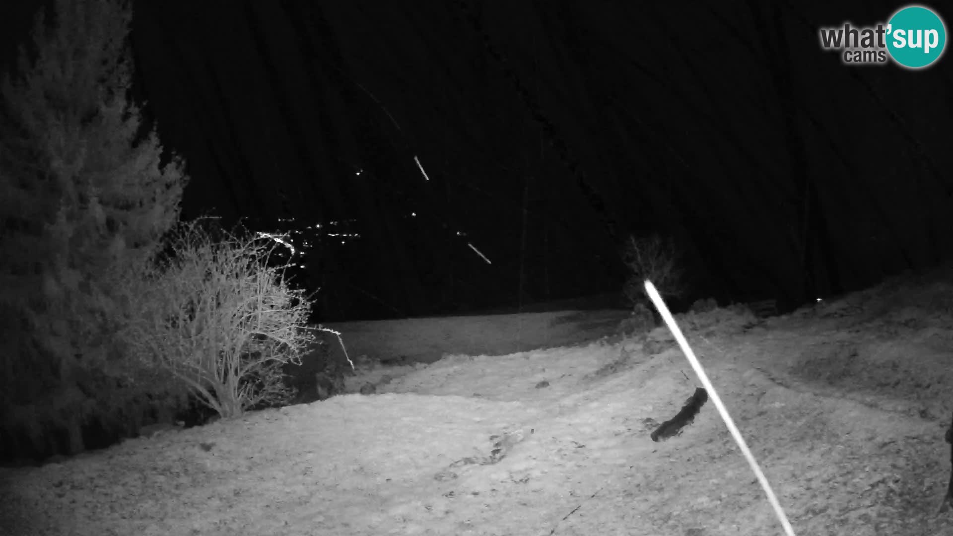 Slajka camera en vivo | Gorenja Vas | Eslovenia