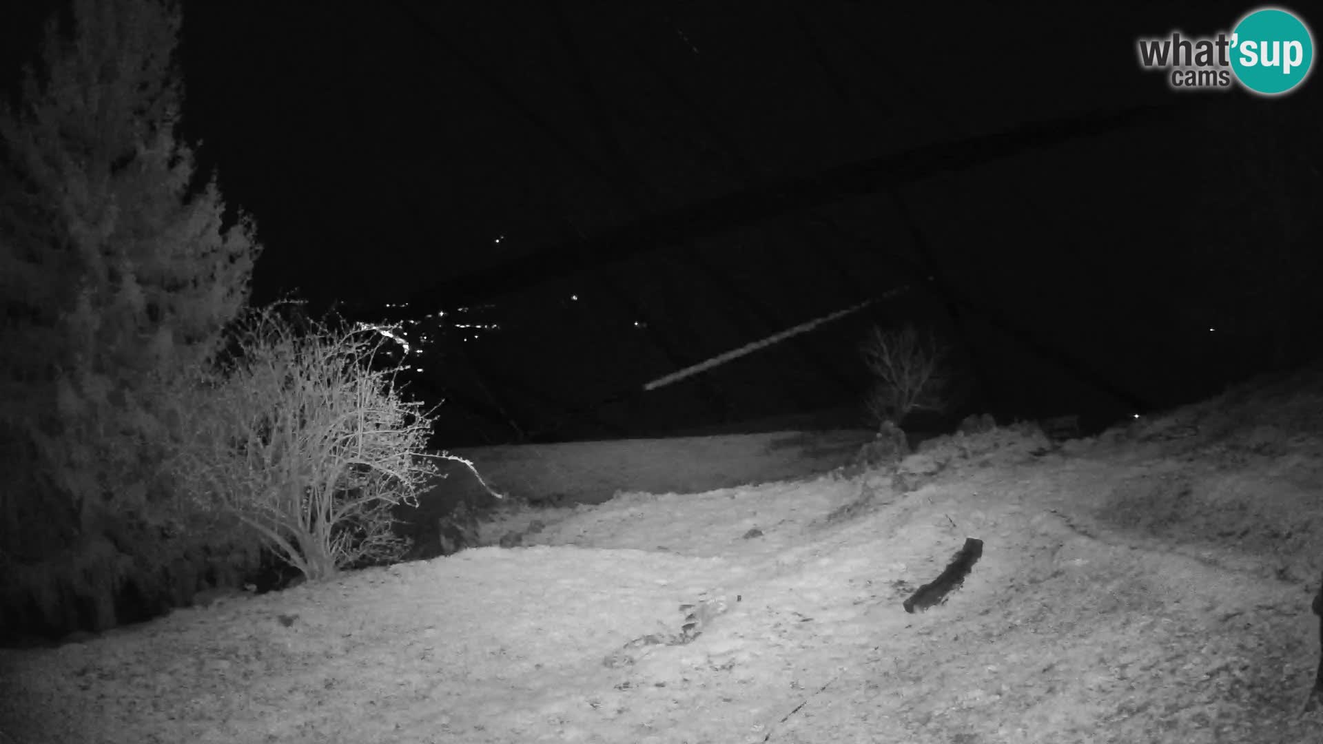 Slajka livecam | Gorenja Vas | Slovénie