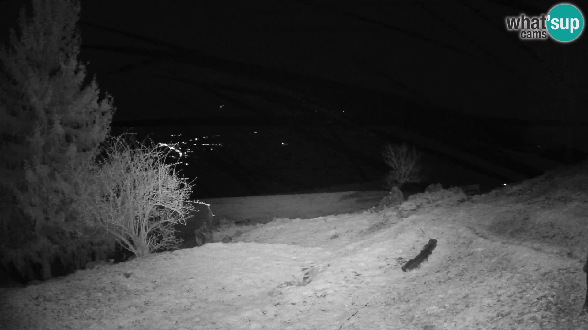 Slajka camera en vivo | Gorenja Vas | Eslovenia