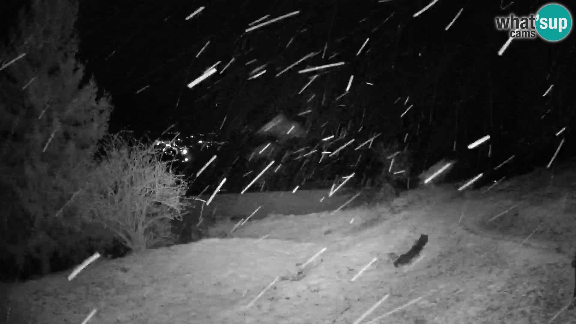 Slajka camera en vivo | Gorenja Vas | Eslovenia