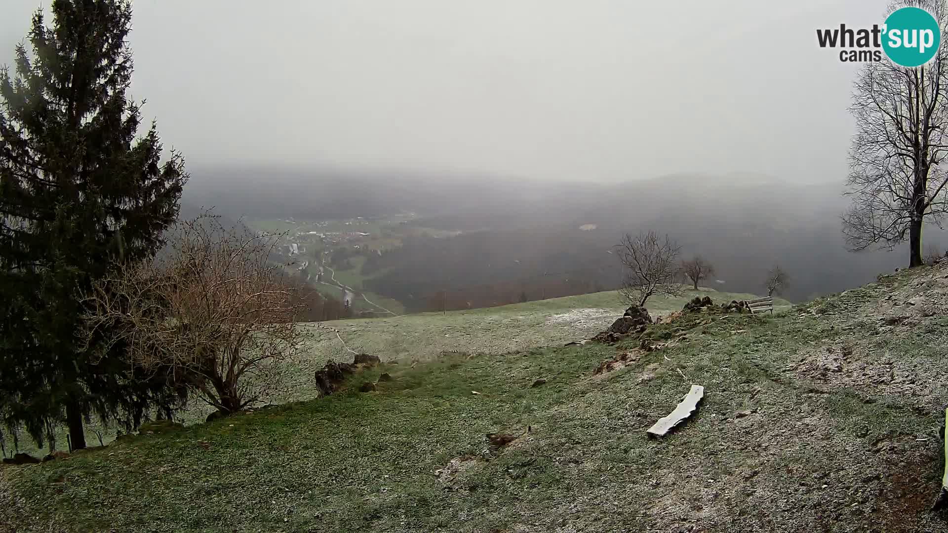 Slajka camera en vivo | Gorenja Vas | Eslovenia