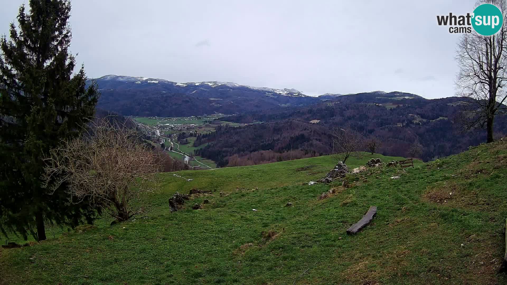 Slajka webam | Gorenja vas | Slovenia