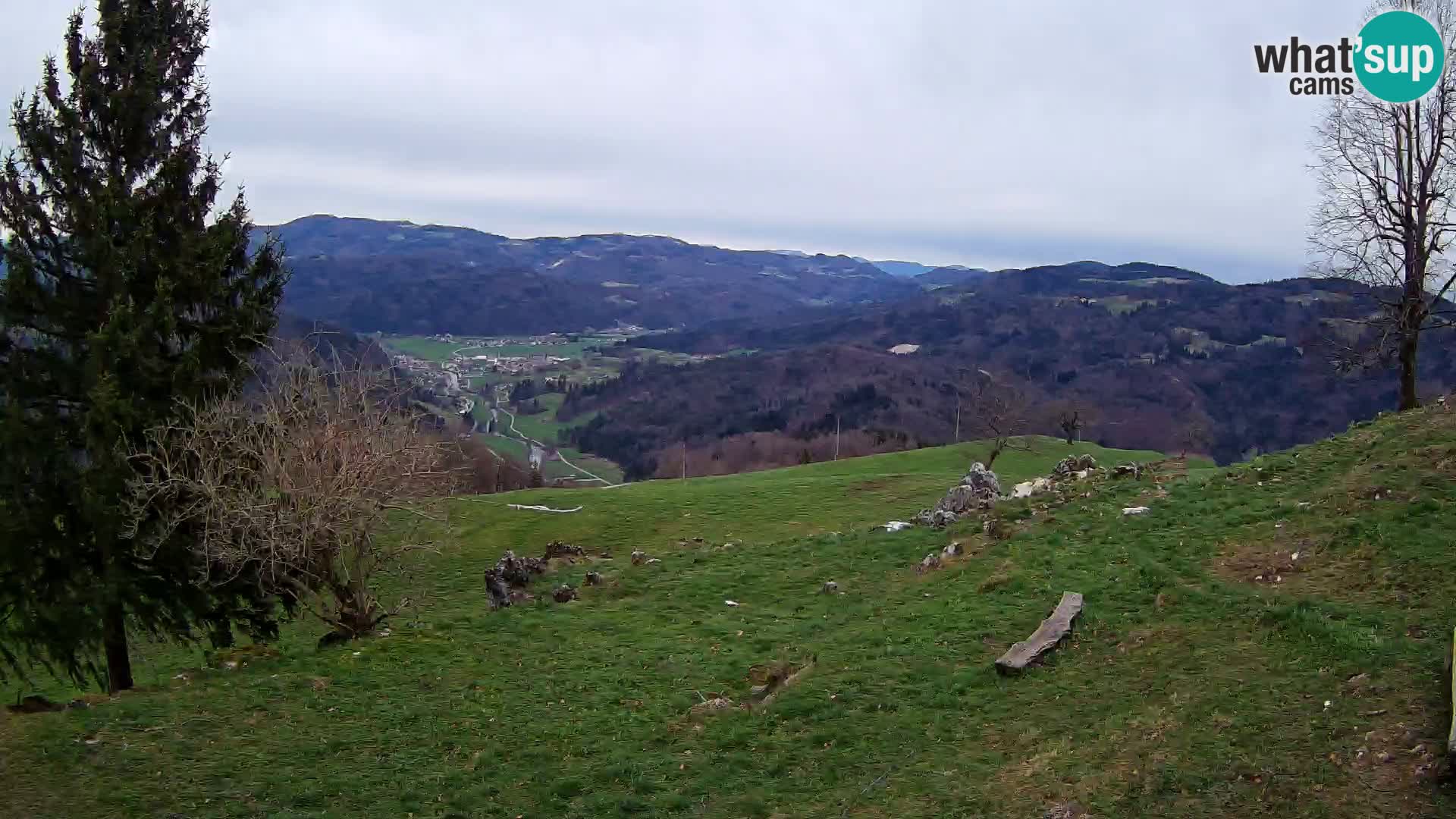 Slajka livecam | Gorenja Vas | Slovénie