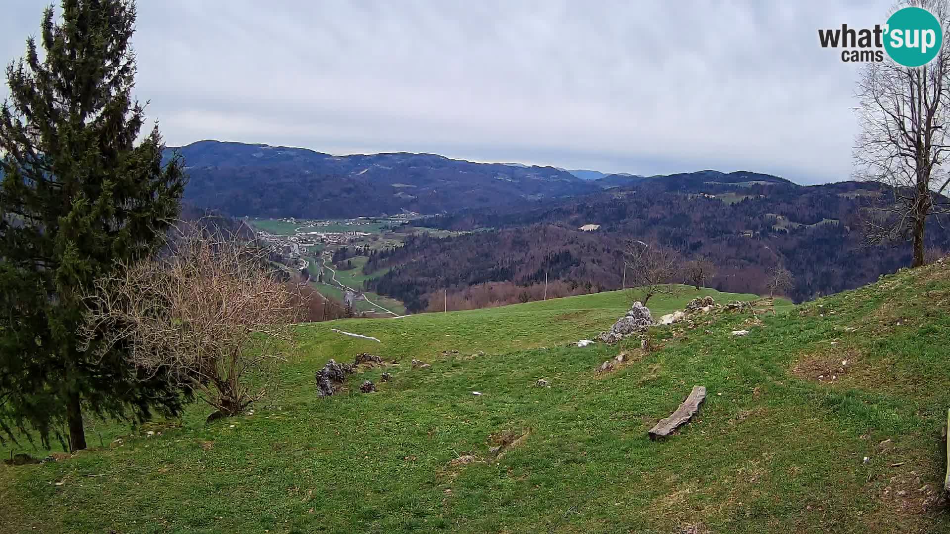 Slajka camera en vivo | Gorenja Vas | Eslovenia