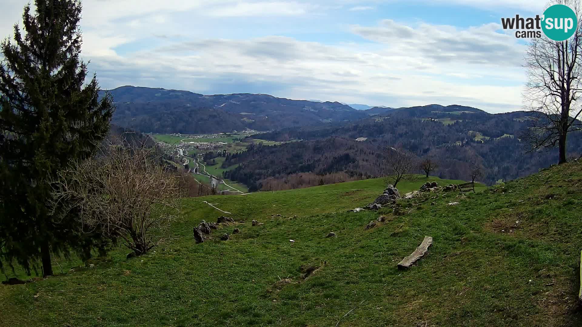 Slajka livecam | Gorenja Vas | Slovénie