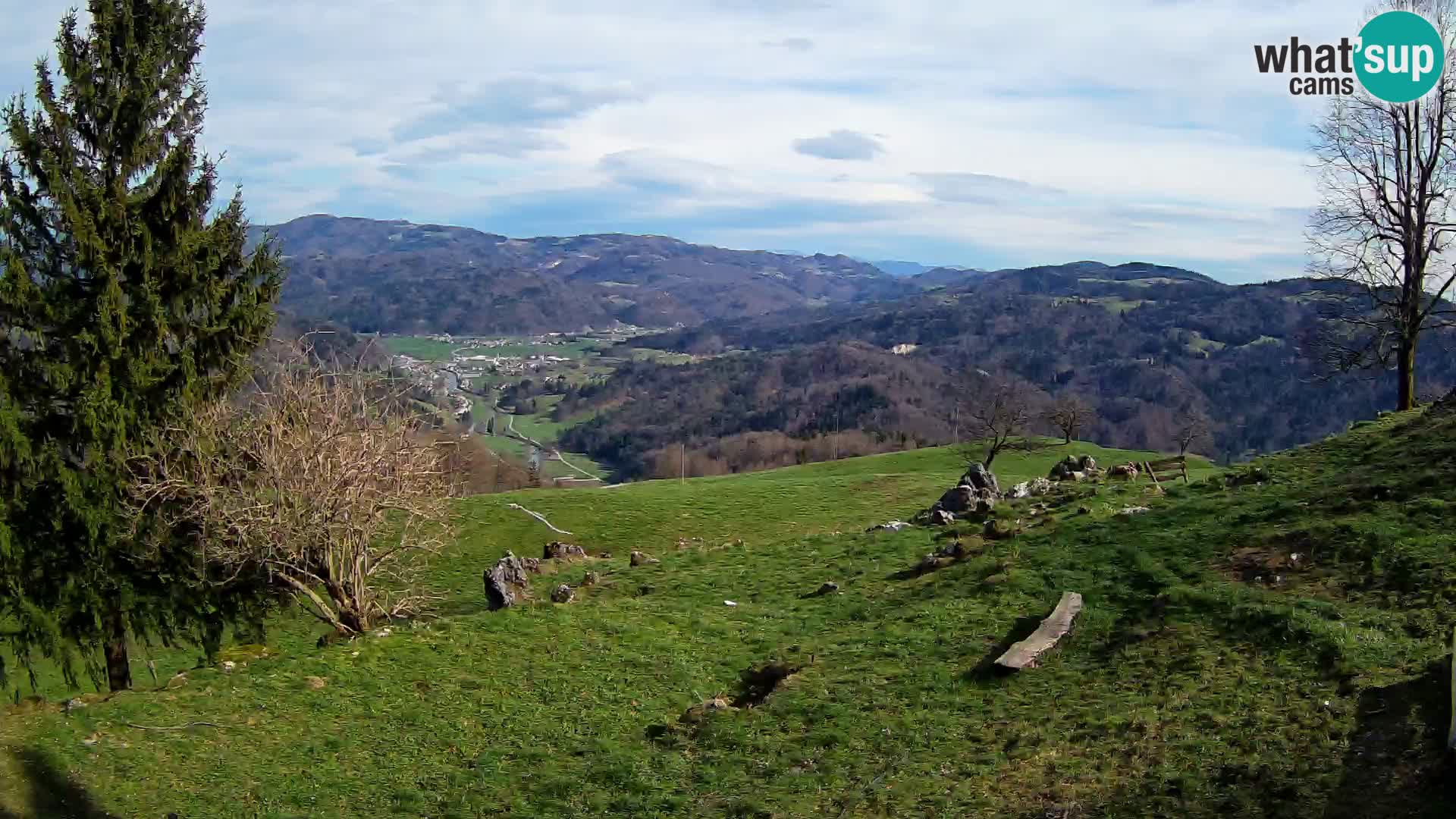 Slajka livecam | Gorenja Vas | Slovénie