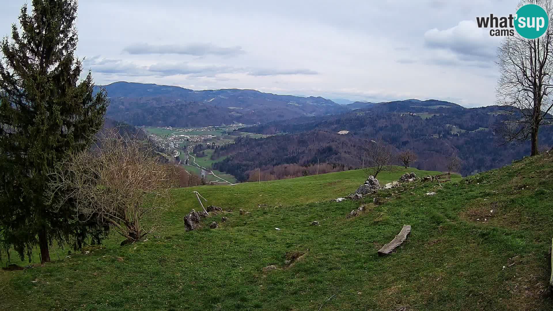 Slajka webam | Gorenja vas | Slovenia