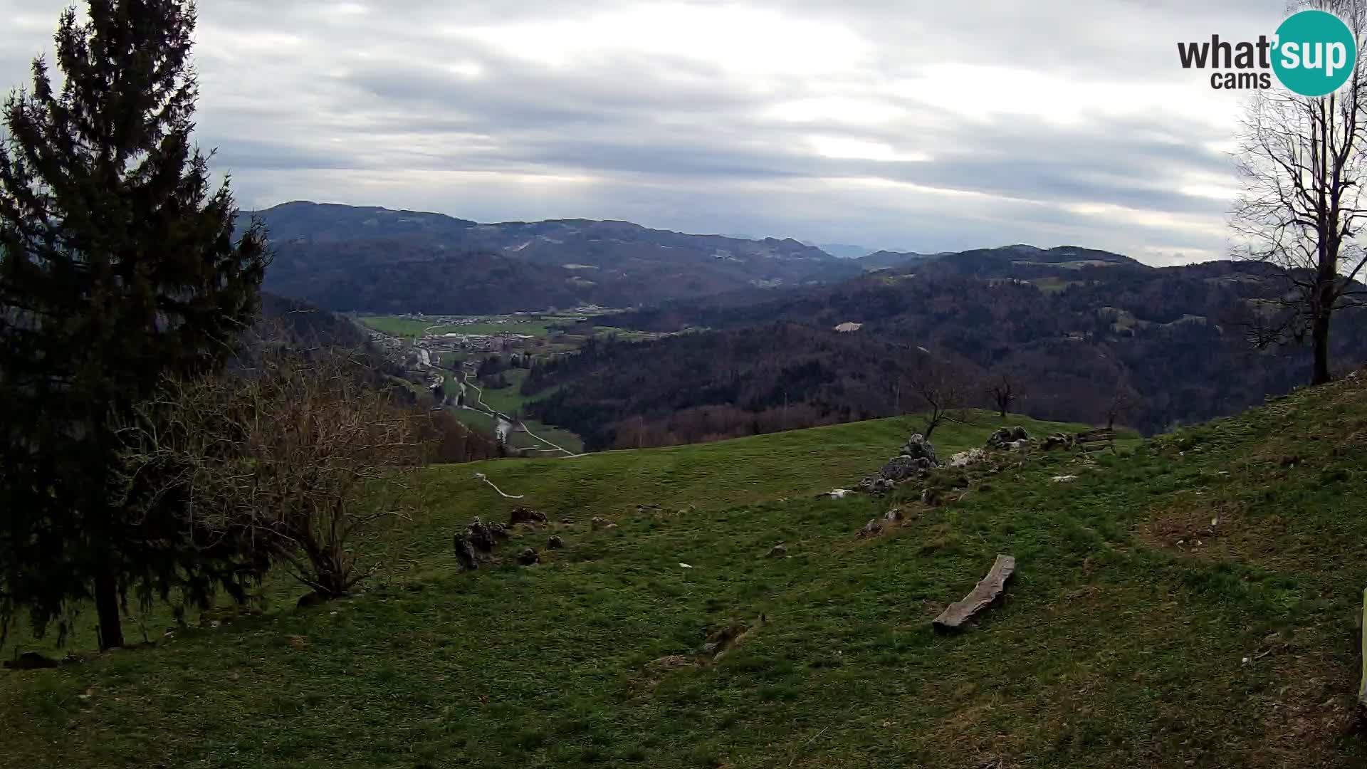 Slajka camera en vivo | Gorenja Vas | Eslovenia