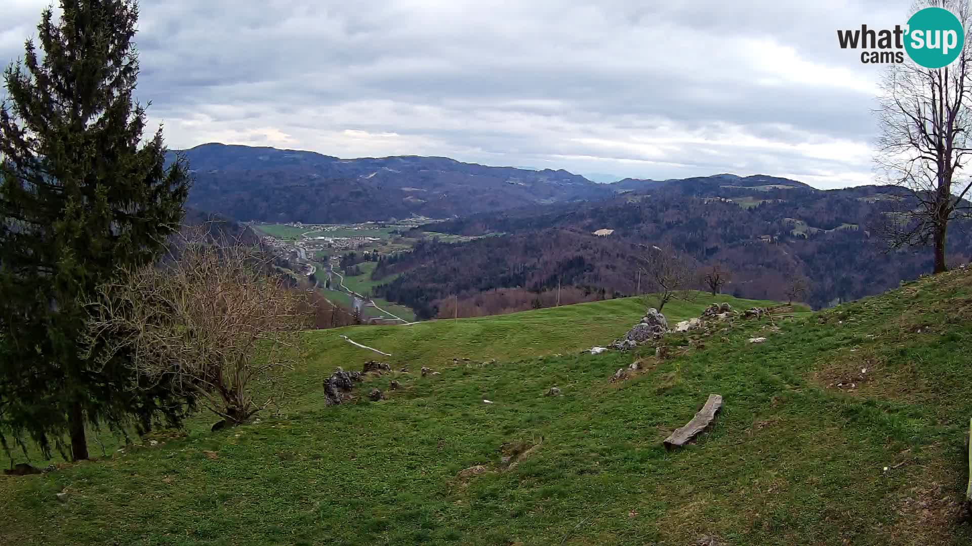 Slajka webam | Gorenja vas | Slovenia