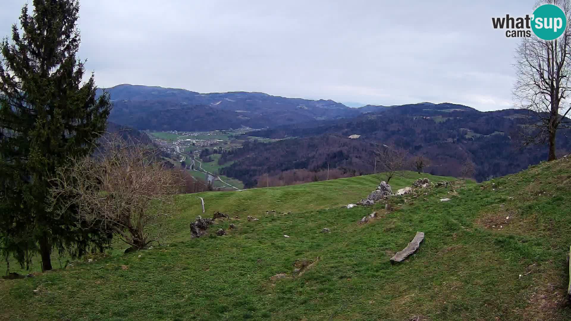 Slajka webam | Gorenja vas | Slovenia