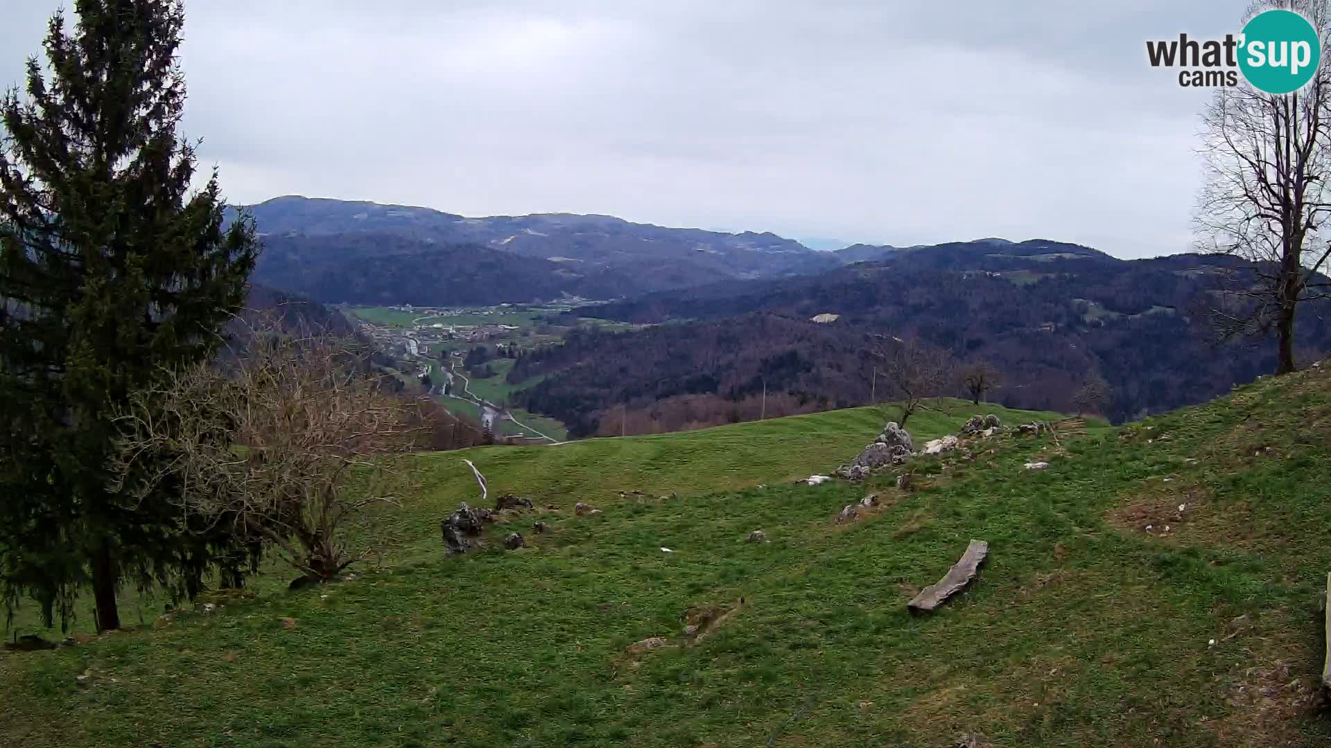 Slajka webam | Gorenja vas | Slovenia