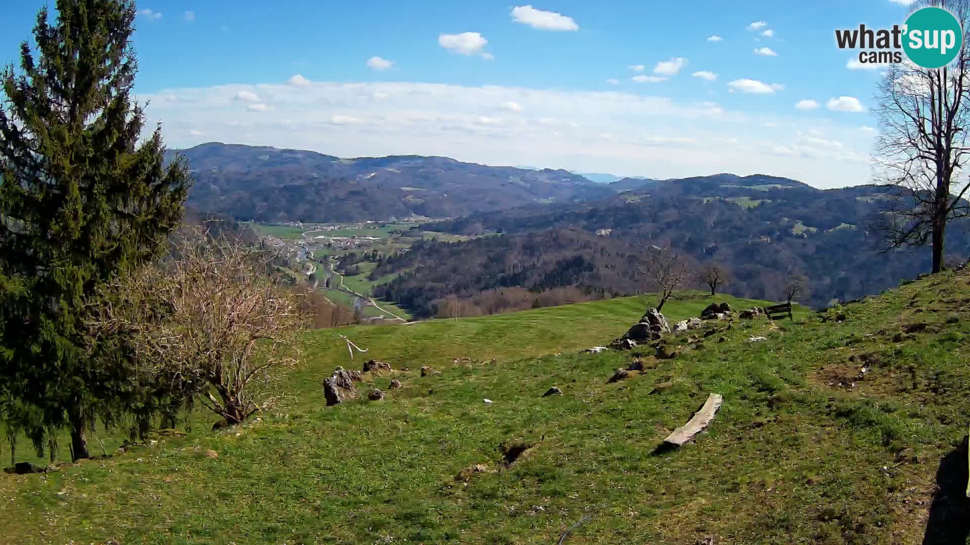 Slajka livecam | Gorenja Vas | Slovénie