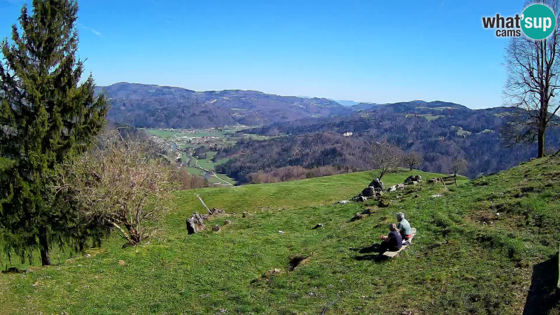 Slajka camera en vivo | Gorenja Vas | Eslovenia