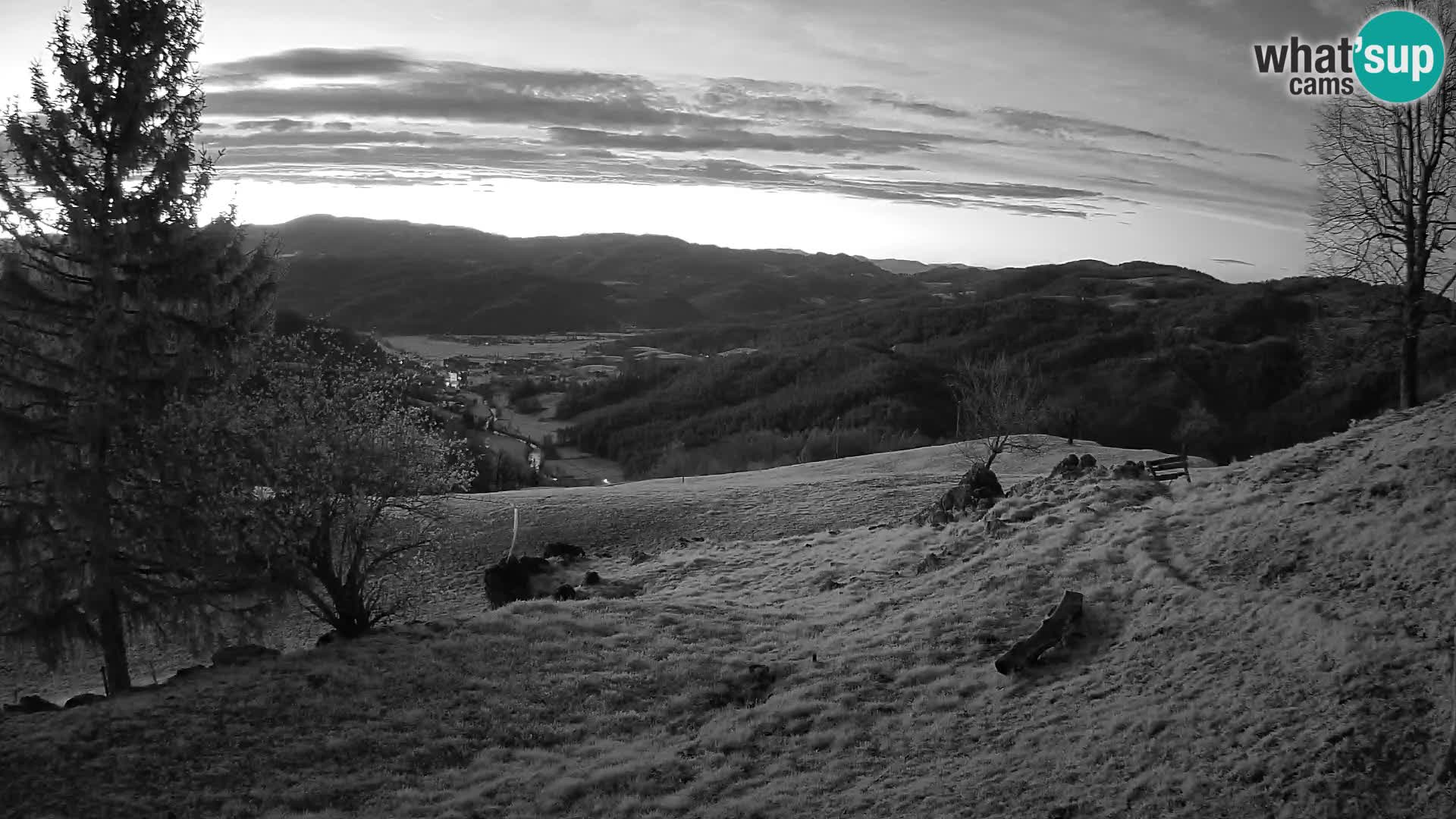 Slajka livecam | Gorenja Vas | Slovénie