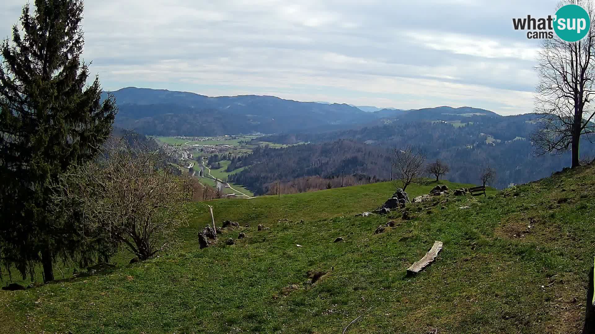 Slajka livecam | Gorenja Vas | Slovénie