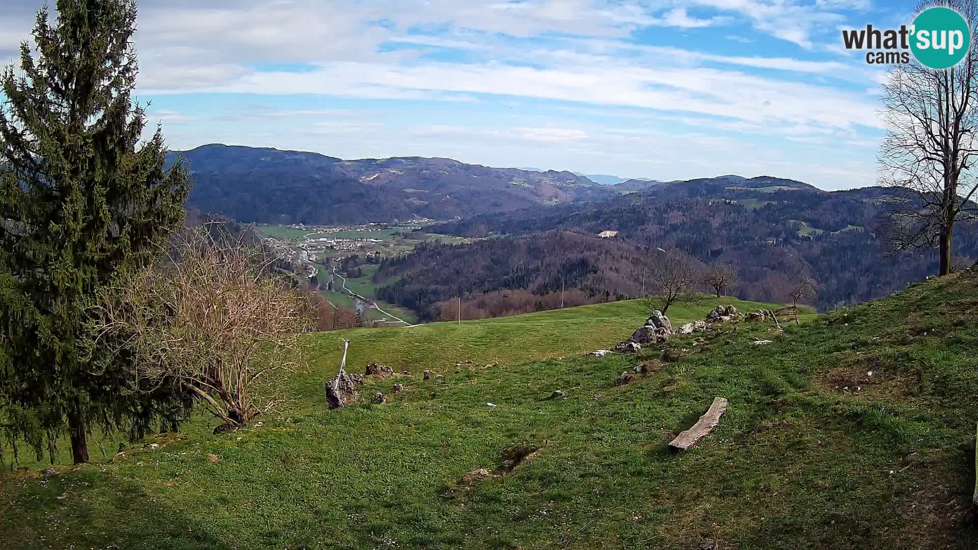 Slajka camera en vivo | Gorenja Vas | Eslovenia