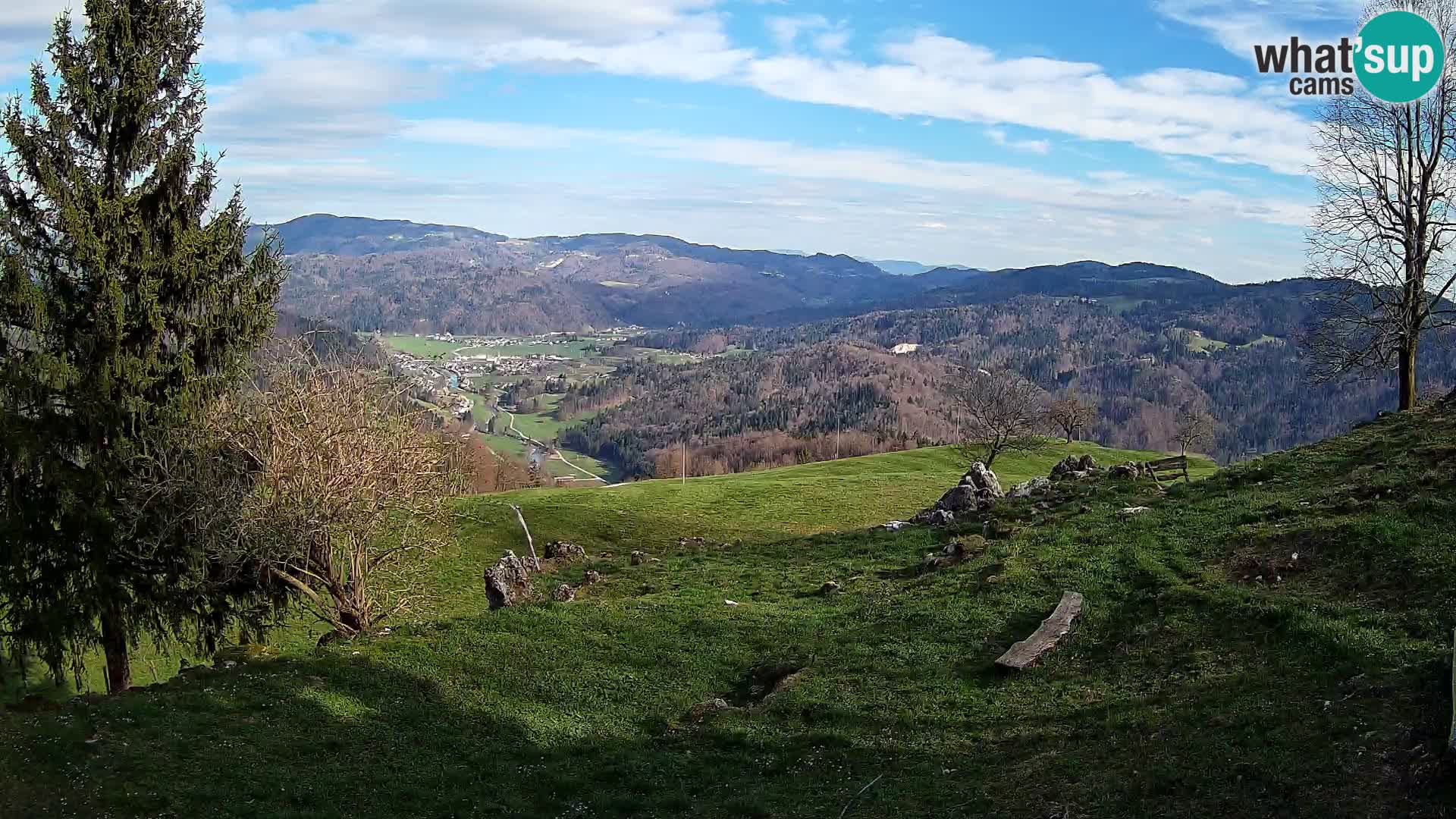 Slajka camera en vivo | Gorenja Vas | Eslovenia