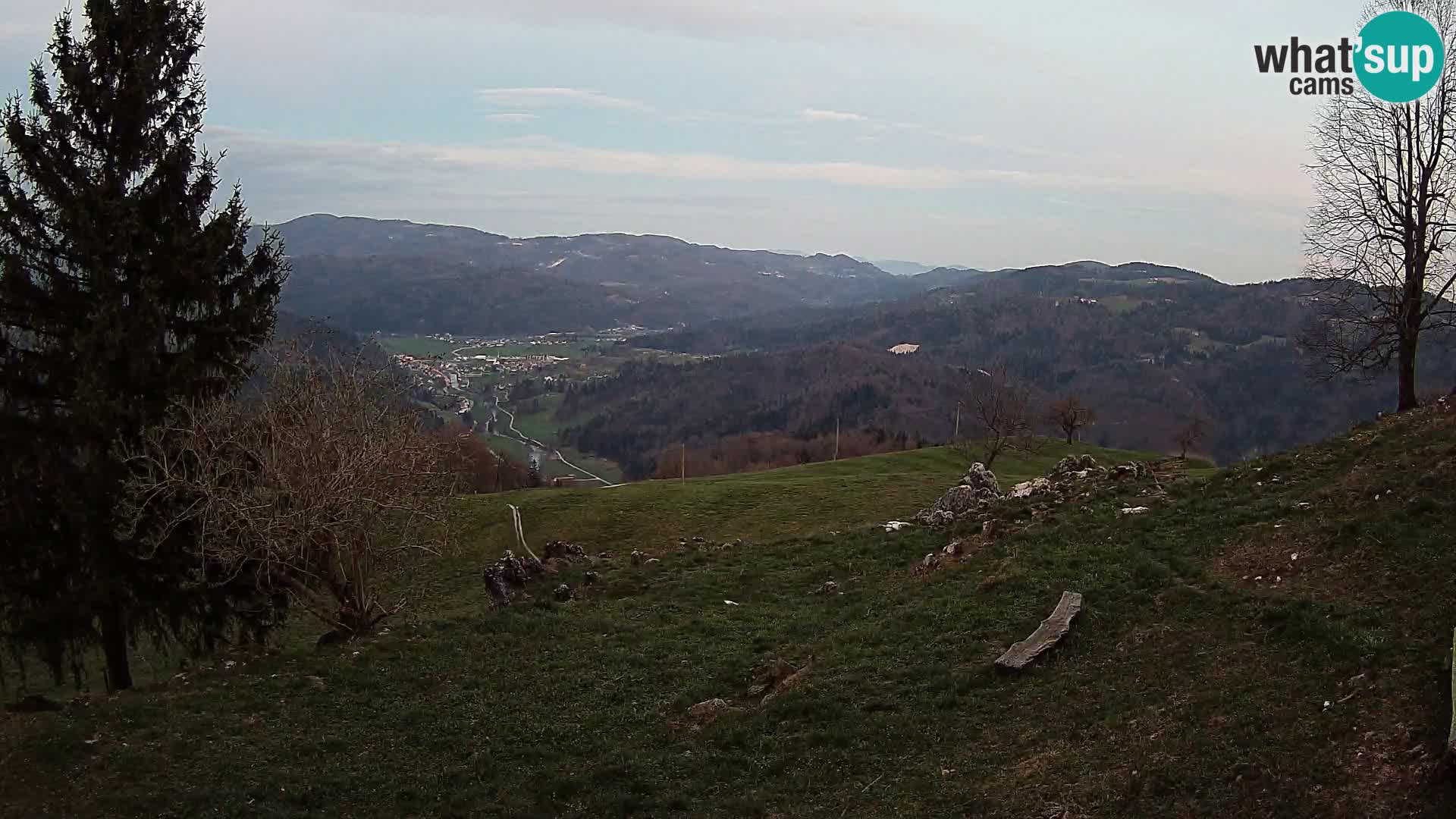 Slajka livecam | Gorenja Vas | Slovénie