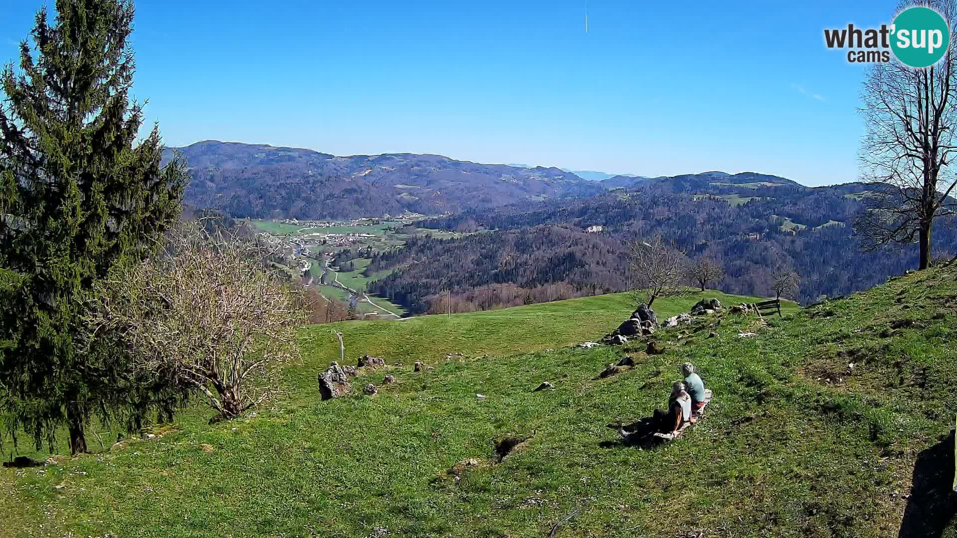 Slajka camera en vivo | Gorenja Vas | Eslovenia