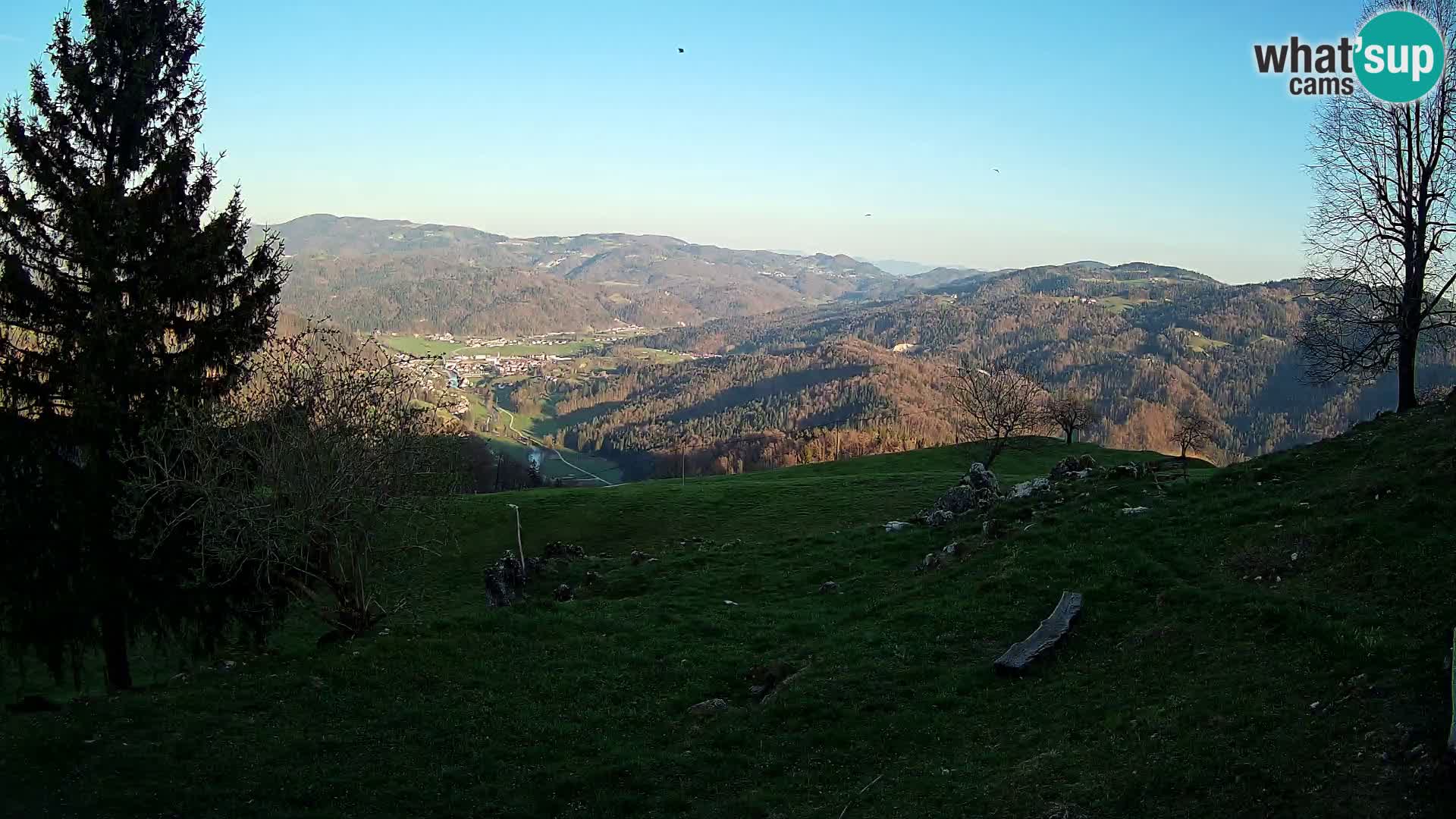 Slajka camera en vivo | Gorenja Vas | Eslovenia