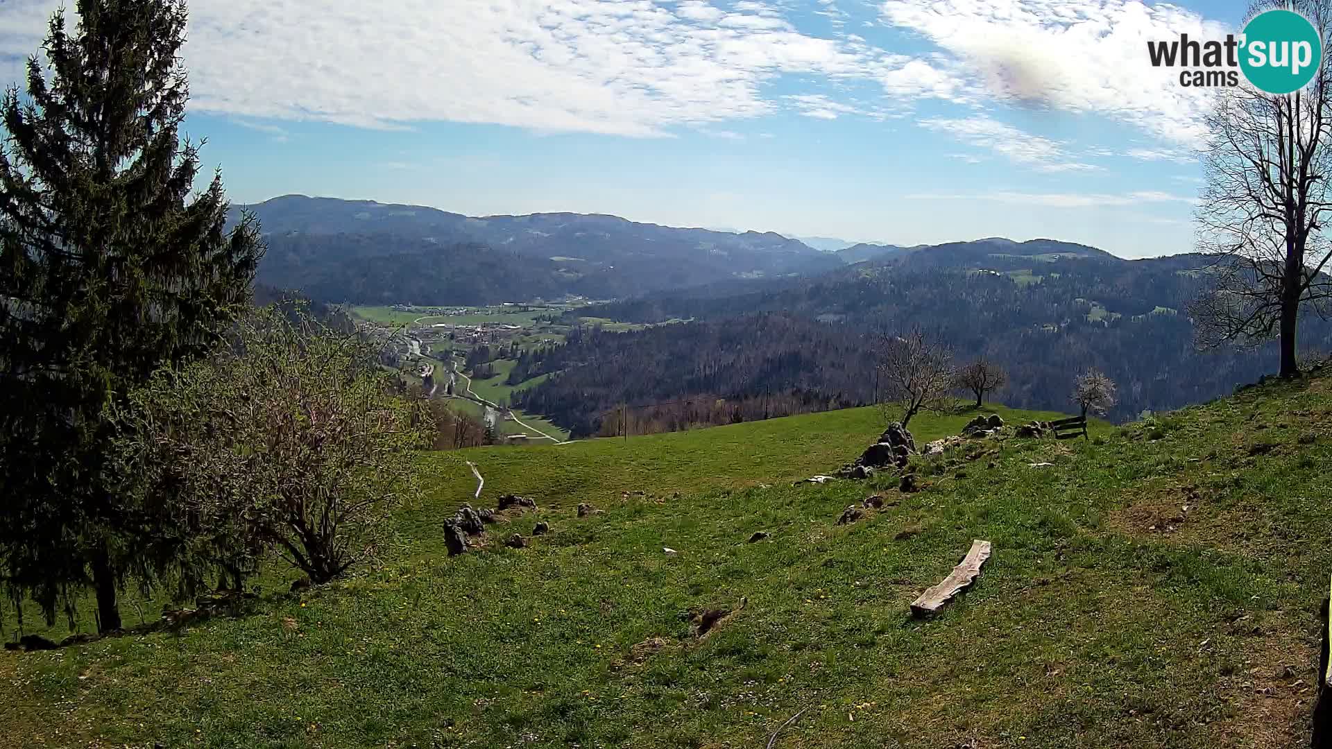 Slajka livecam | Gorenja Vas | Slovénie