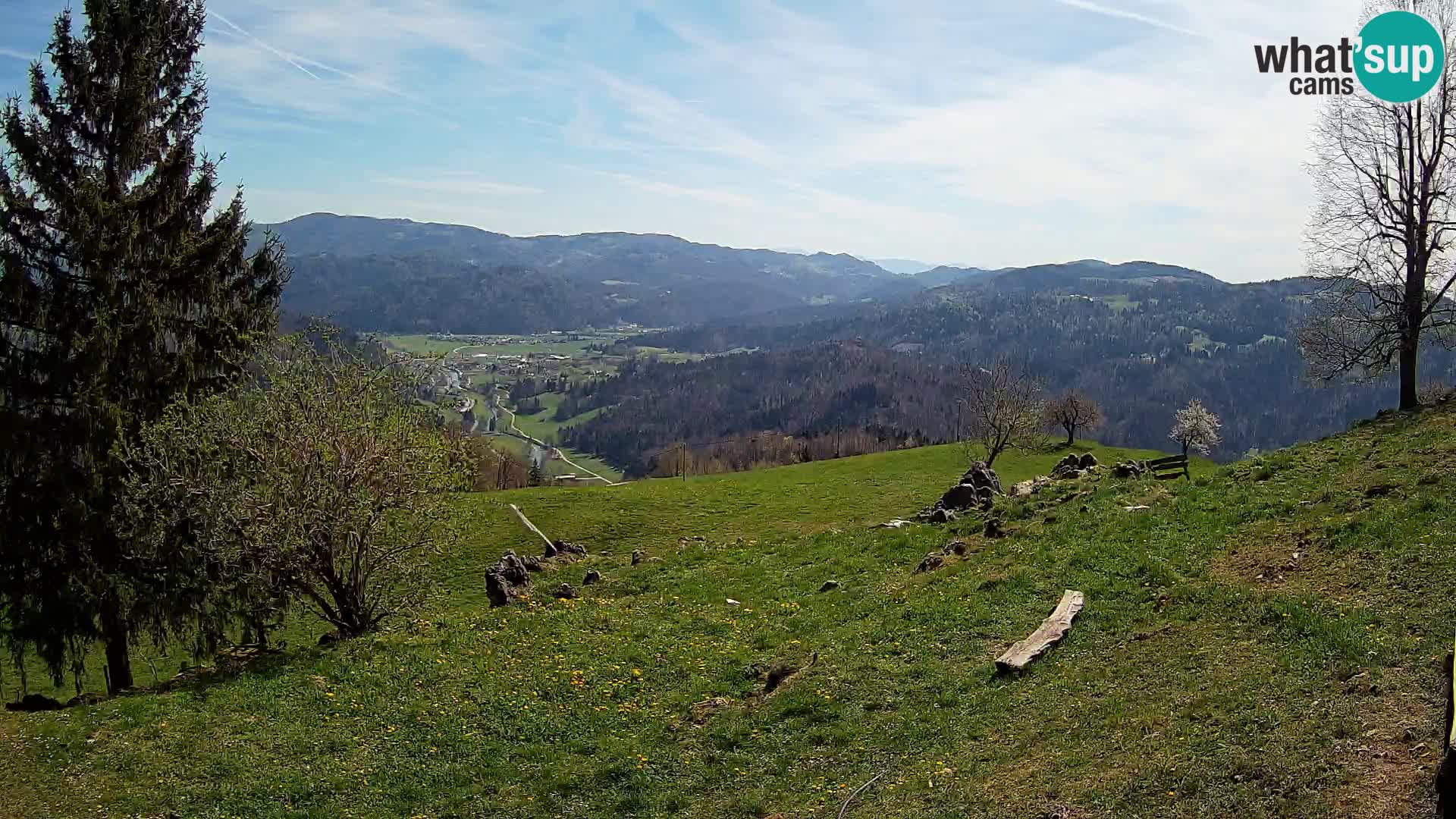 Slajka livecam | Gorenja Vas | Slovénie