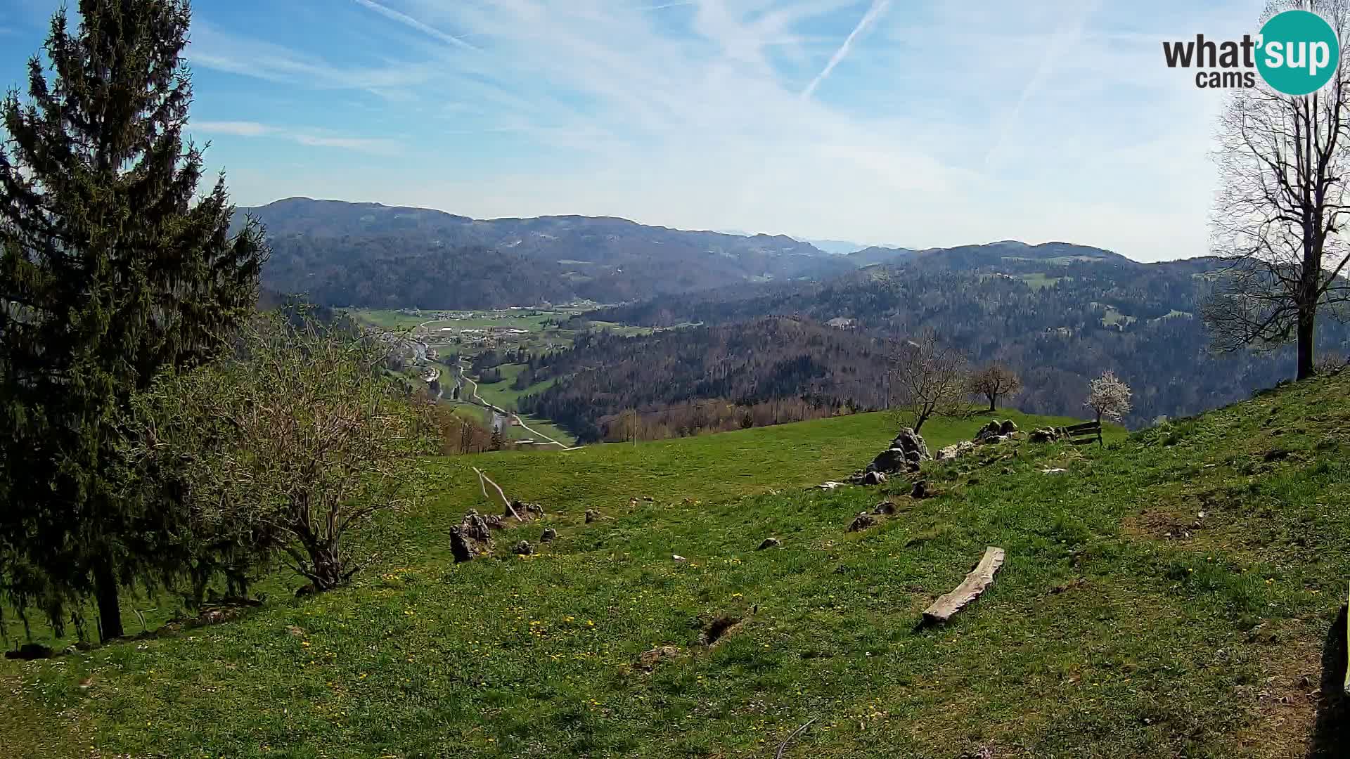 Slajka livecam | Gorenja Vas | Slovénie