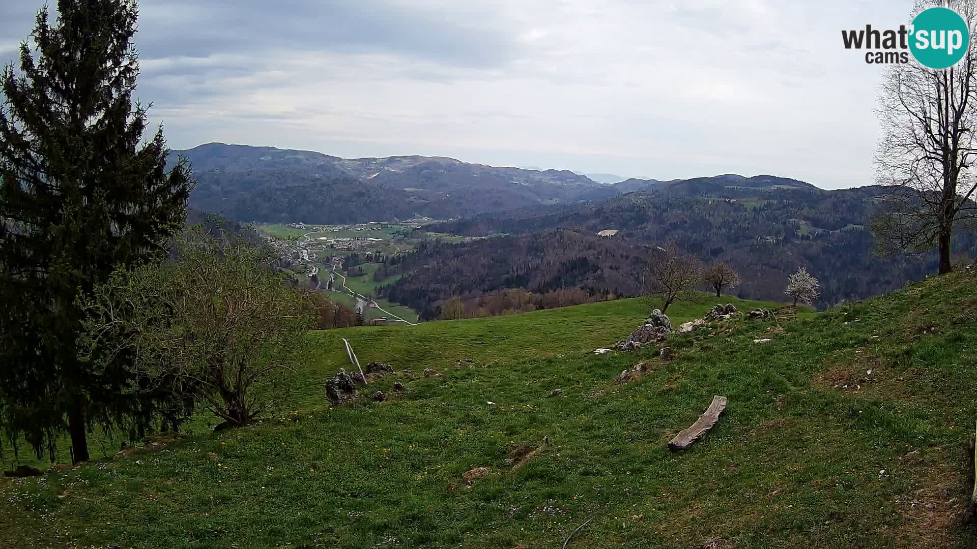 Slajka webam | Gorenja vas | Slovenia