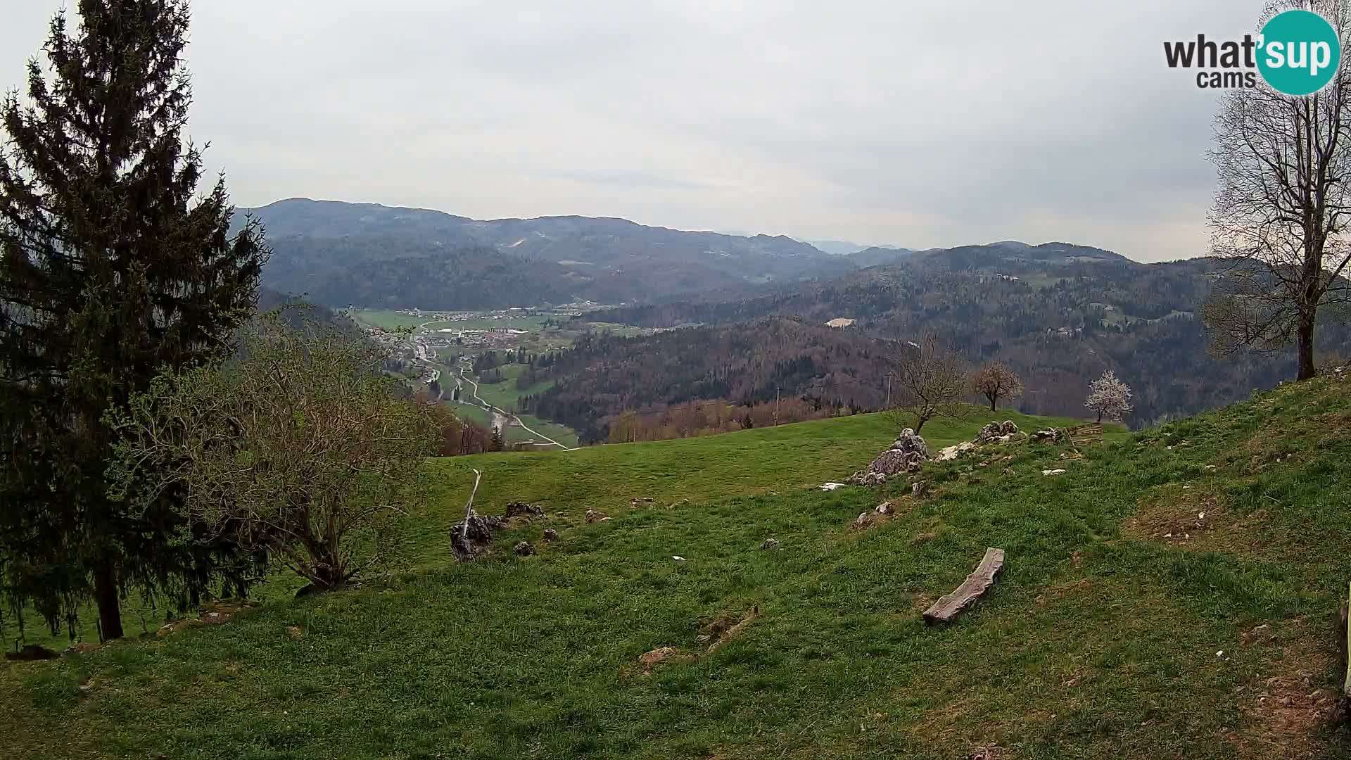 Slajka camera en vivo | Gorenja Vas | Eslovenia