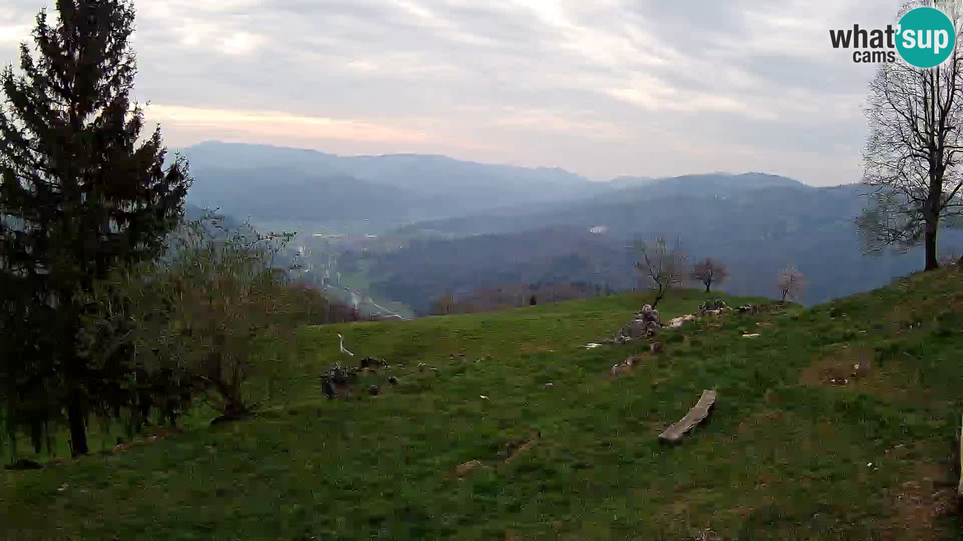 Slajka webcam | Gorenja Vas | Slowenien