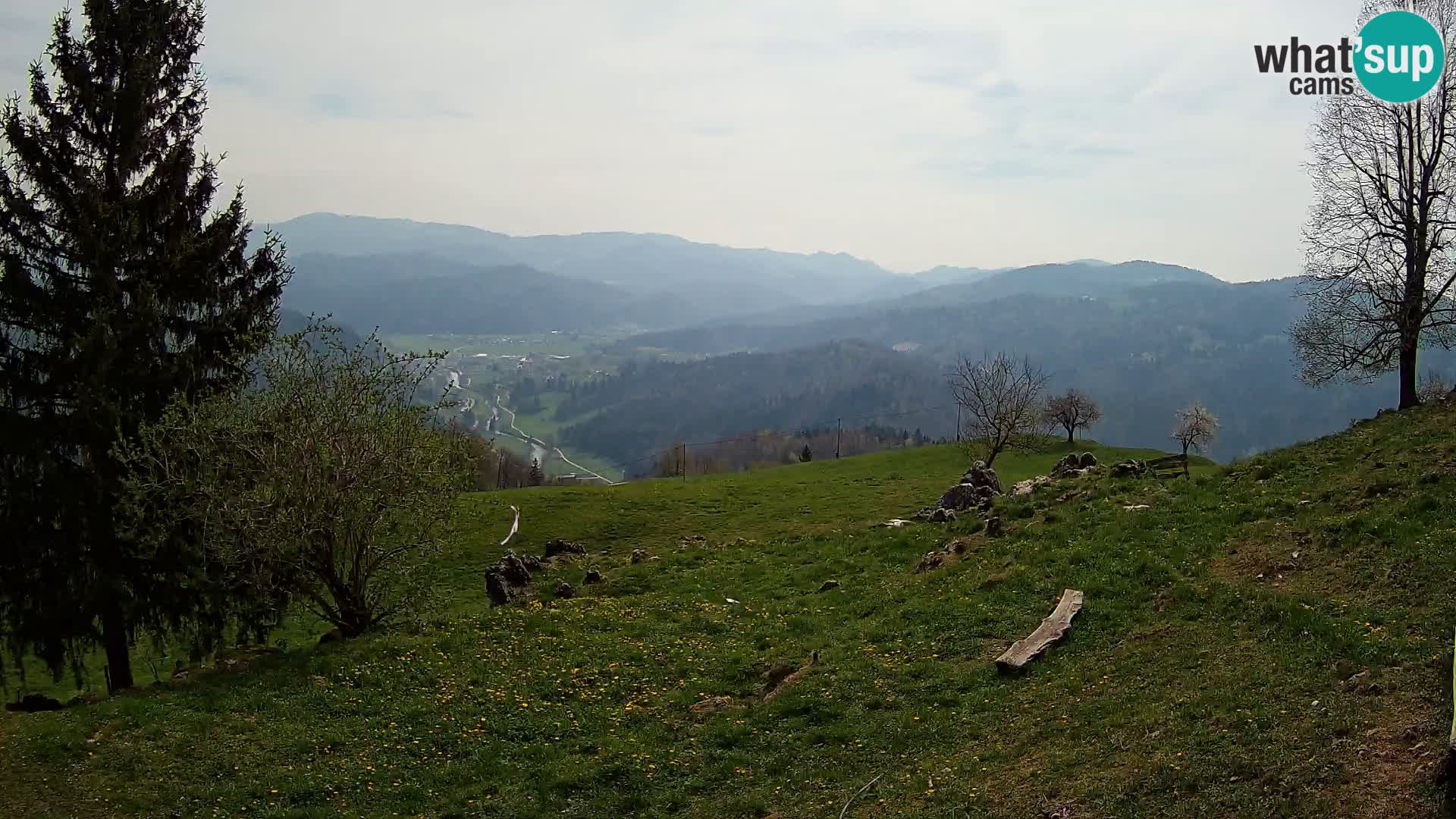 Slajka livecam | Gorenja Vas | Slovénie