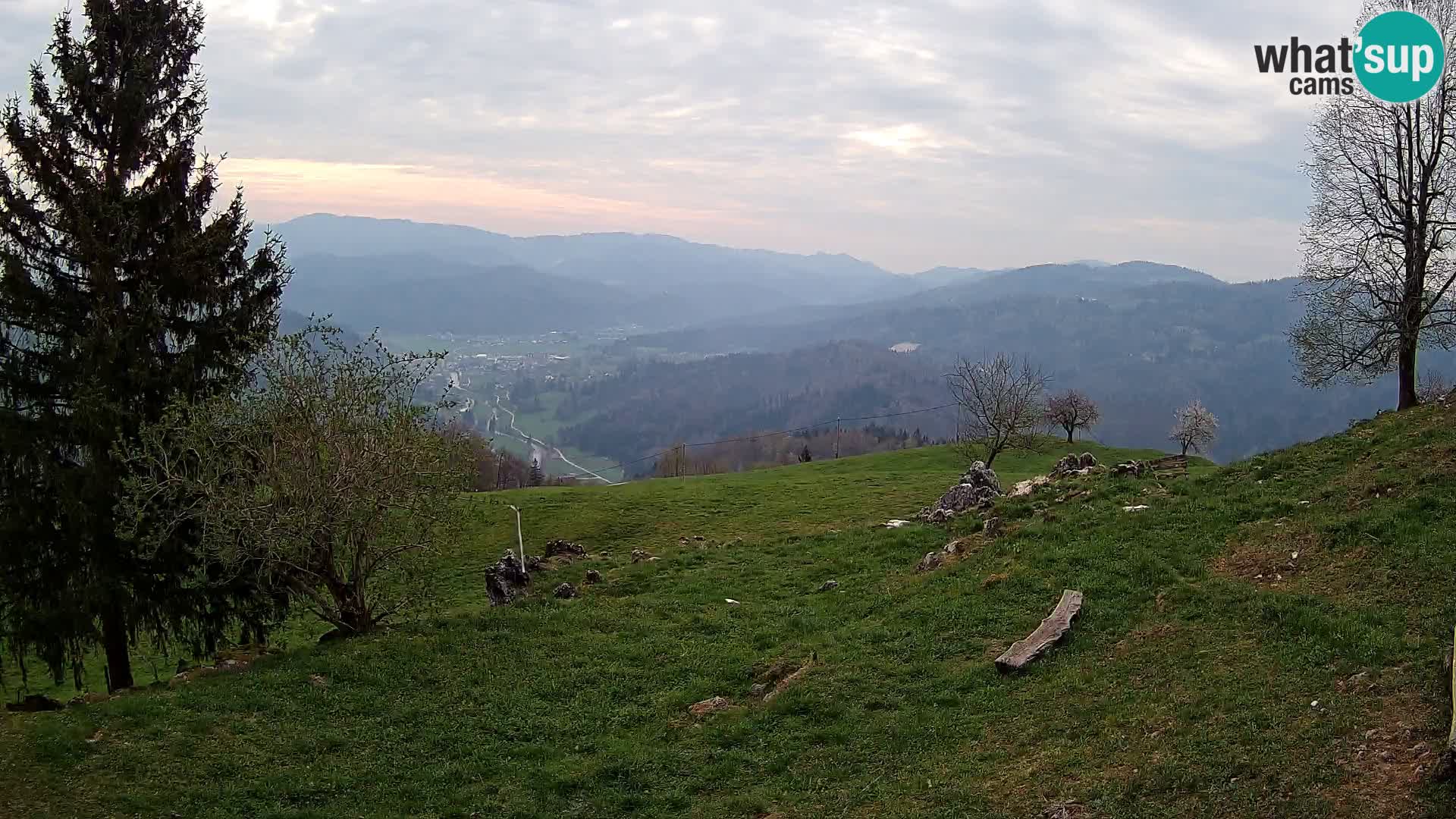 Slajka camera en vivo | Gorenja Vas | Eslovenia