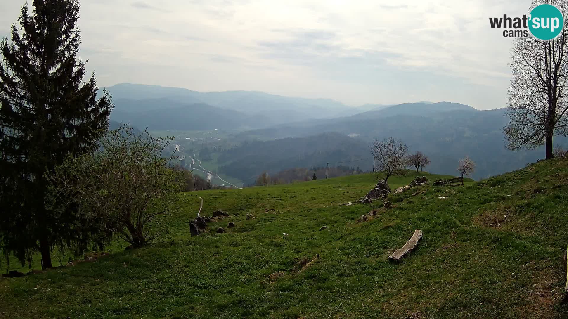 Slajka livecam | Gorenja Vas | Slovénie