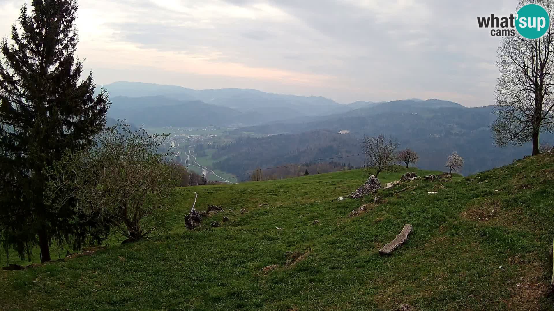 Slajka camera en vivo | Gorenja Vas | Eslovenia