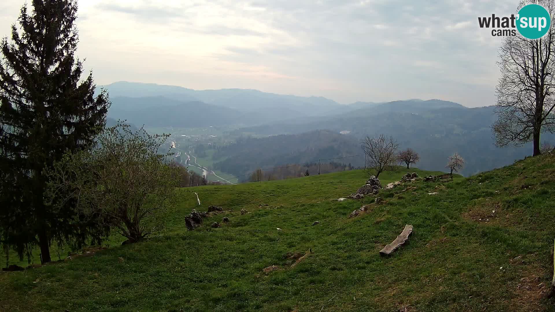 Slajka camera en vivo | Gorenja Vas | Eslovenia