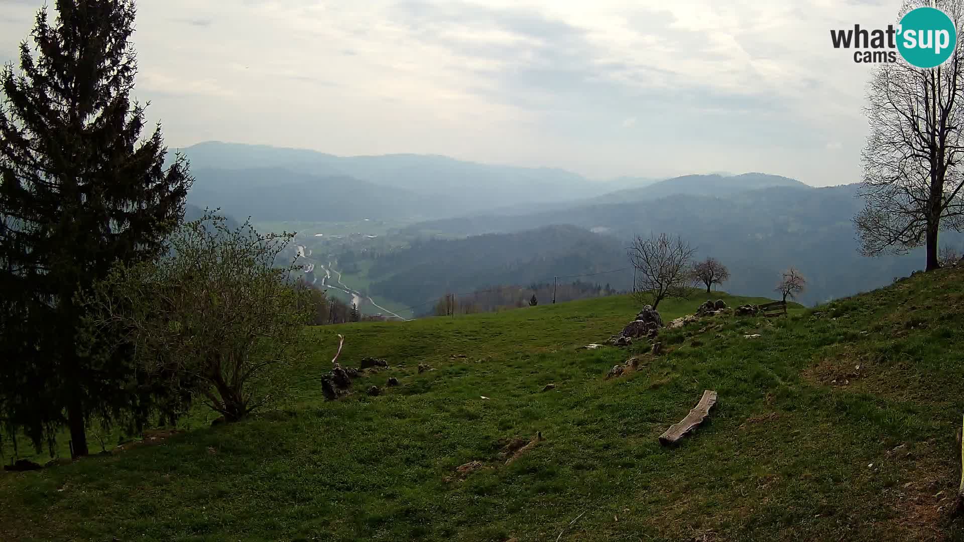 Slajka livecam | Gorenja Vas | Slovénie