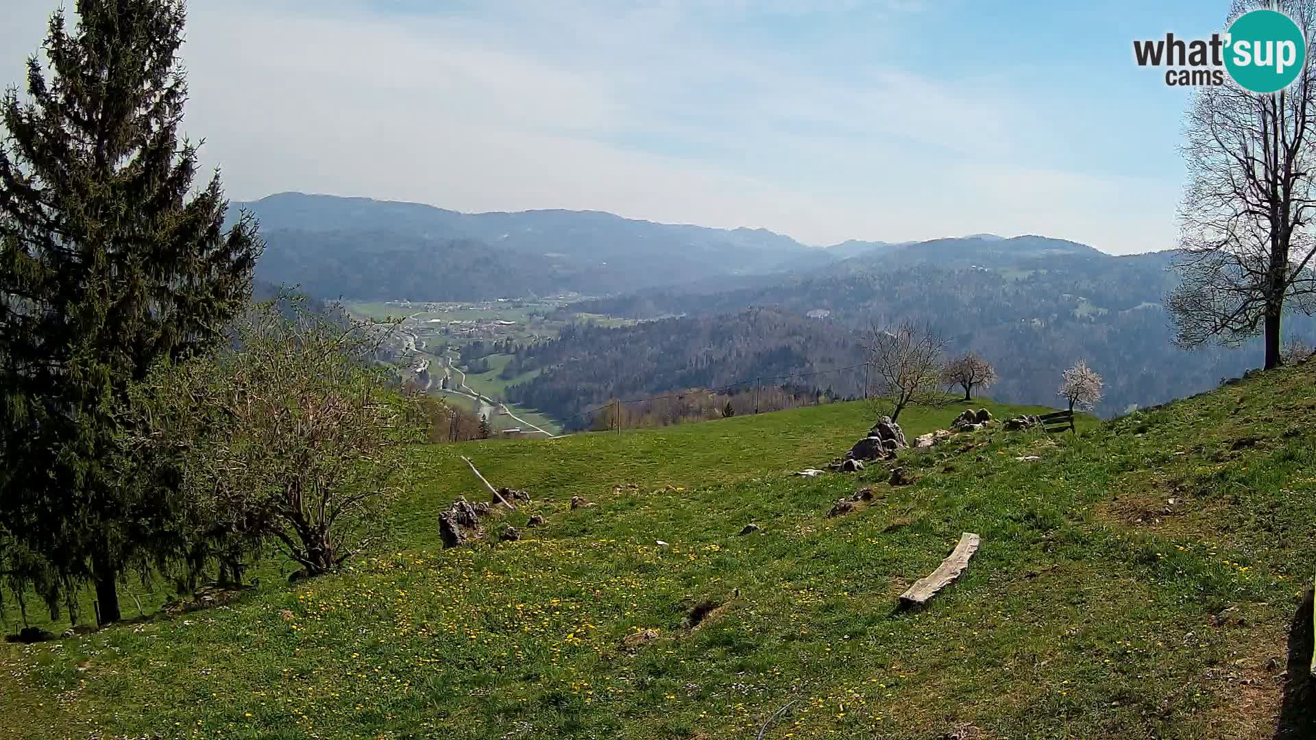 Slajka camera en vivo | Gorenja Vas | Eslovenia